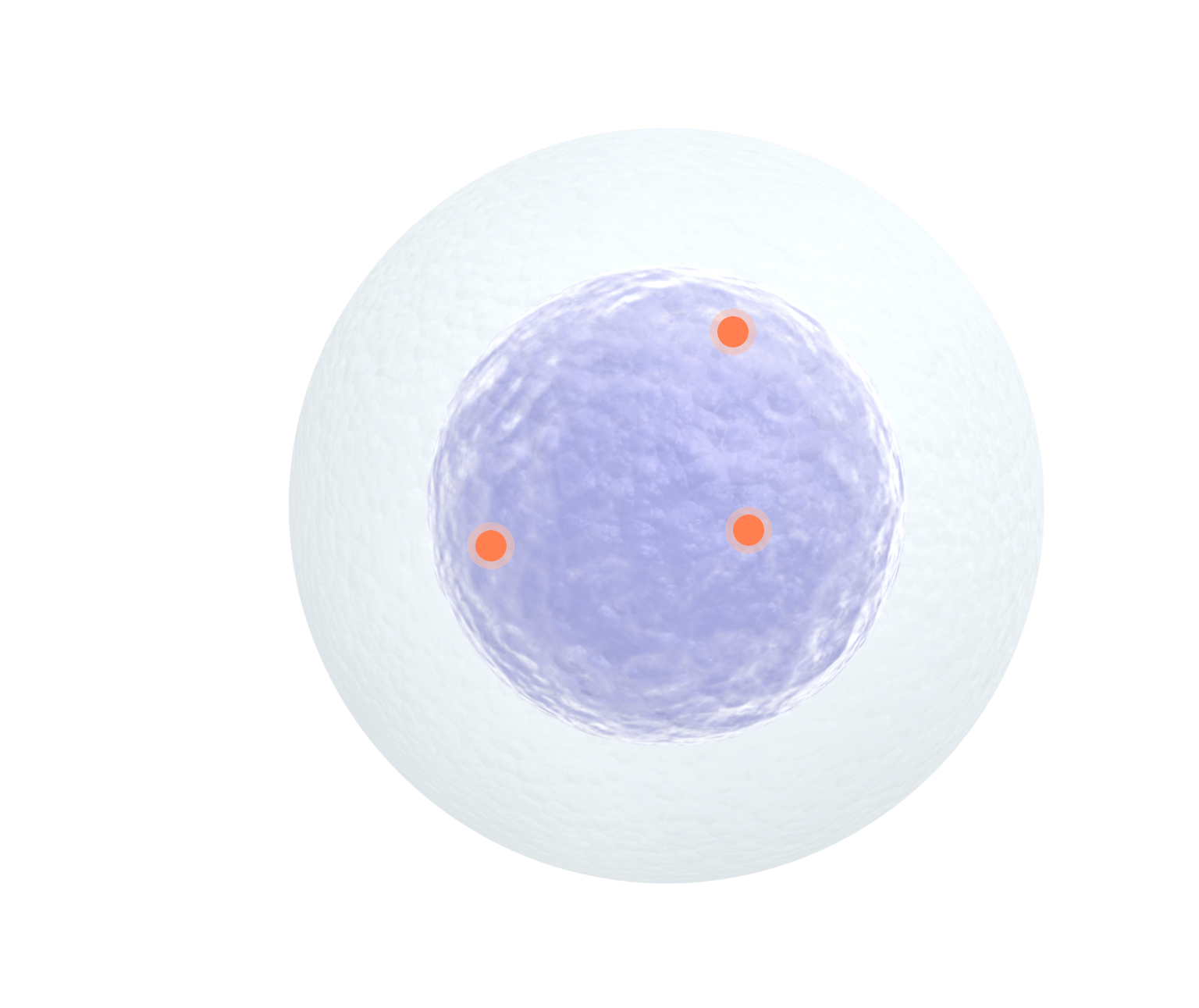 Illustration of a human cell with three circular areas highlighted, representing specific structures or focal points within the cell.