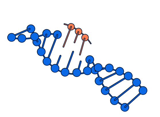 An illustration of a blue double helix DNA strand with specific area being called out in orange.