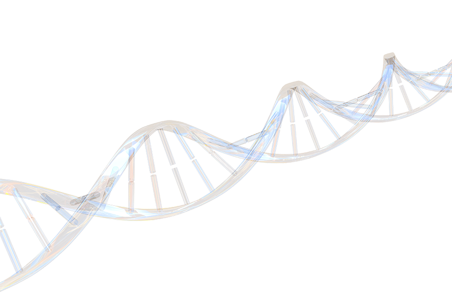 An illustration of a double helix DNA strand.